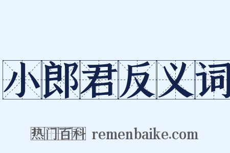 小郎君反义词是什么意思的图片